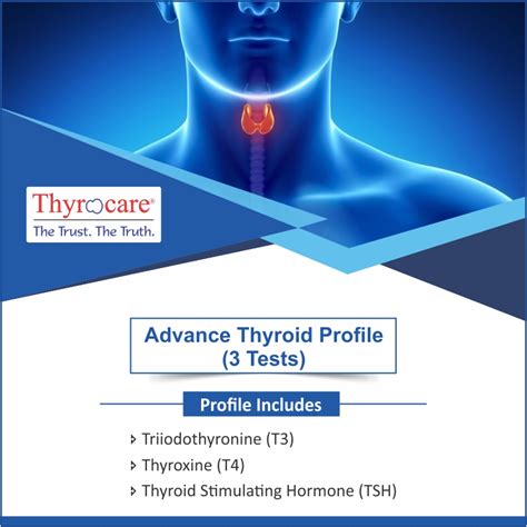 thyroid profile test includes